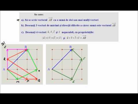 Aplicatii cu vectori (vector5)