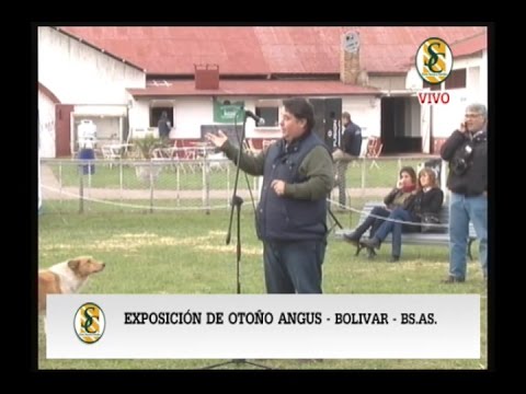 ESCUELA DE JURADOS  Expo. Bolivar - 1 de 3 - Viernes 20 05 16