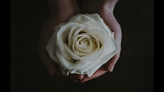 Nurture Yourself Through Suffering