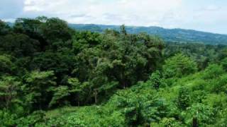 preview picture of video 'Ocean View Mountain Property in Chiriqui, Panama'