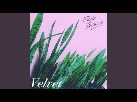 download lagu mp3 mp4 Fickle Friends Velvet, download lagu Fickle Friends Velvet gratis, unduh video klip Fickle Friends Velvet