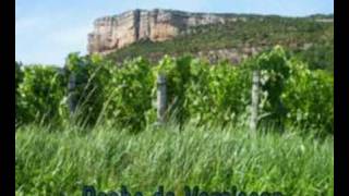 preview picture of video 'Burgundy Wine - Vin de Bourgogne (Domaine Gonon)'