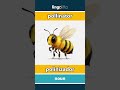 pollinator - polinizador video thumbnail