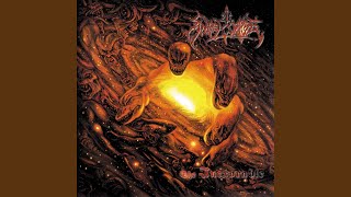 The Fall Of The Idols Of Flesh