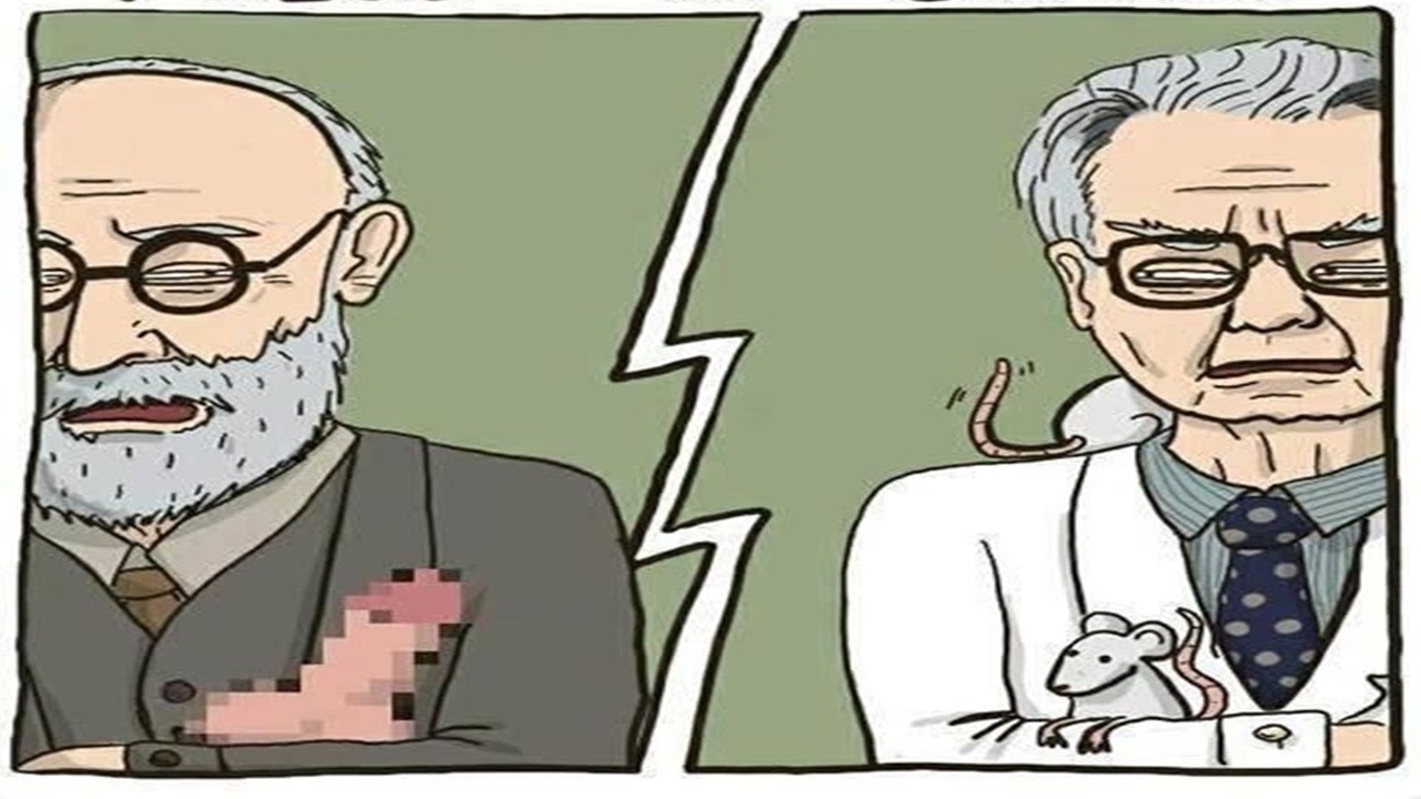 Behaviorismo x Psicanálise: As principais Diferenças