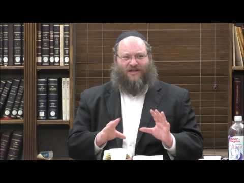 Tanya Chapter 26 Part 2 - Rabbi Naftali Silberberg