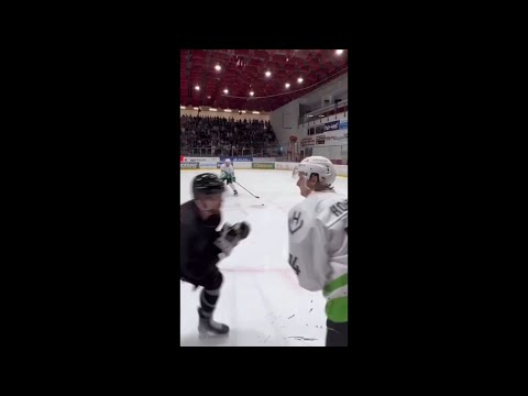 LANG NAPADNUL HOUŠKU PŘI ZÁPASE! #beautystories