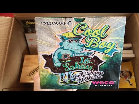 NEUHEIT 2014 Weco Cool Boy 16-Schuss-Batterie