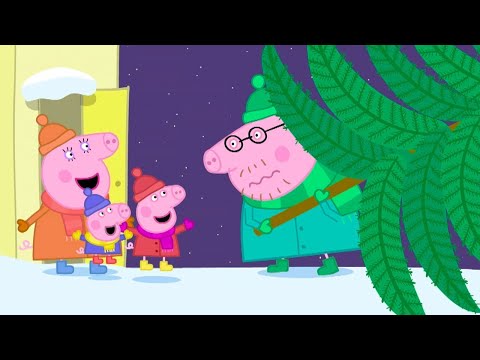 Getting Ready for Christmas! 🎄 Peppa Pig Full Episodes 🎄 Peppa Pig at Christmas