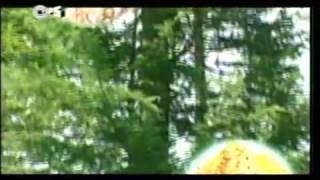 Raghupati Raghav Raja Ram by Jagjit Singh   Chitra Singh - Ram Bhajans - Hey Ram