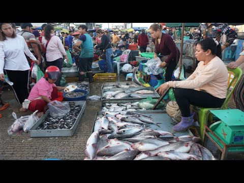 Chhbar Ampov Fish Market Tours - The Second Site Distribute Alive Fish, Dry Fish & Seafood Daily