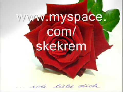 SK EKREM - VERPISS DICH NEW NEW NEW