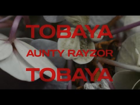 AUNTY RAYZOR - TOBAYA FT ILL GEE (OFFICIAL VIDEO)