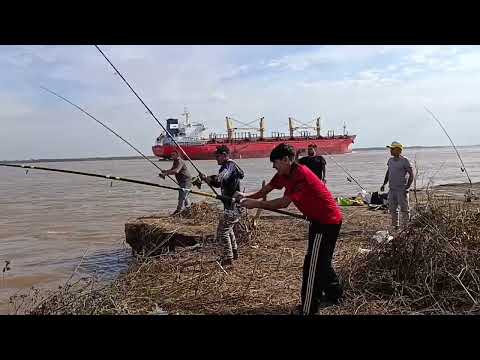Pesca en fighiera pesqueros de gomita buena pesca 🎣🎣