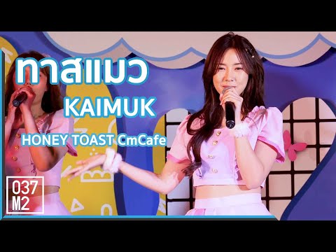 191005 CM Cafe Honey Toast Kaimuk - ทาสแมว @ มาหา(อะ)ลัยขายของ  [Fancam 4k60p]