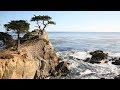 Monterey Bay Aquarium To 17 Mile Drive