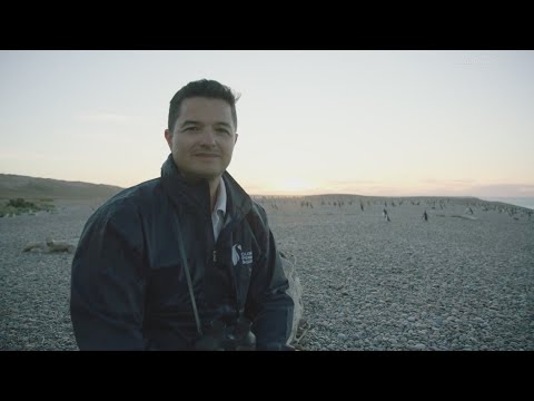 Arctic penguin conservationist Dr. Pablo Garcia Borboroglu wins 2023 Indianapolis Prize