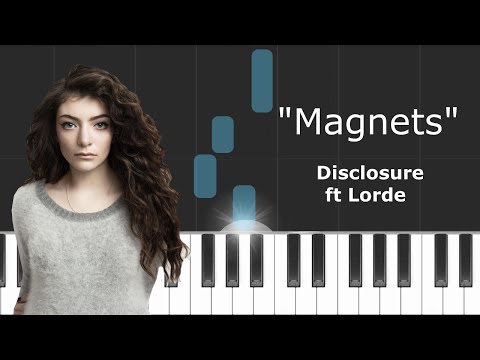 Magnets - Disclosure