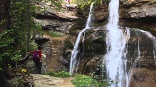 Arrosa xuriaren azpian