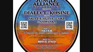 Never ft Roots Manuva, Solo Banton, Rodney P and Darrison - Dialect And Kosine Official Remix