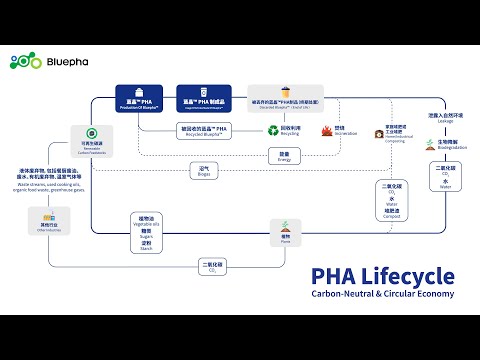 PHA Lifecycle | Bluepha