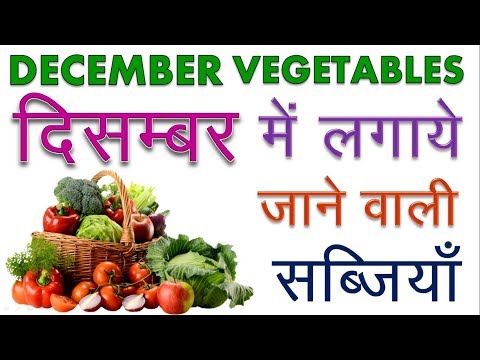 download lagu mp3 mp4 December Vegetables, download lagu December Vegetables gratis, unduh video klip December Vegetables