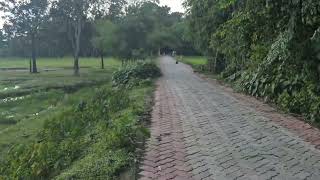  Residential Plot for Sale in Malbazar, Jalpaiguri
