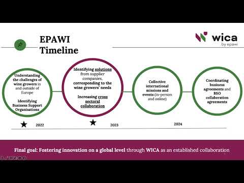 Projeto EPAWI - WICA: Cross Sectorial BSO Informational Webinar