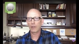Episode 413 Scott Adams: Talking to @Naval Ravikant About All the Important Stuff