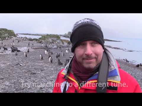 CRUISE and RESORT - Daily Stresses 2