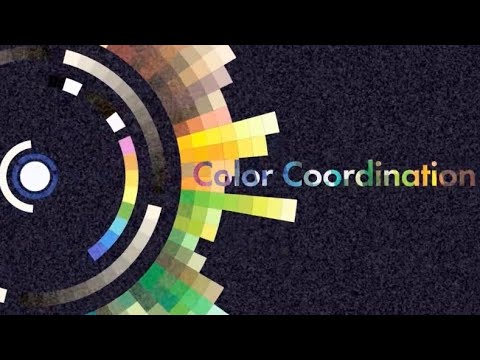【モーショングラフィックス】ColorCoordination | motiongraphics_しんさく