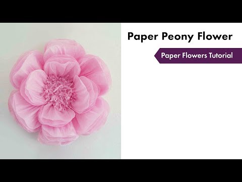 Paper Flowers Tutorial | How To Setup | eFavormart.com