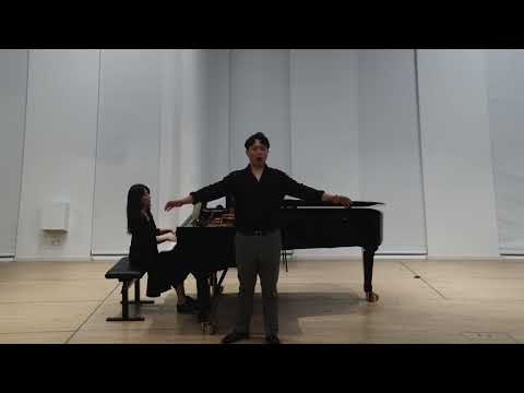 W. A. Mozart — In diesen heil'gen Hallen (Sarastro)