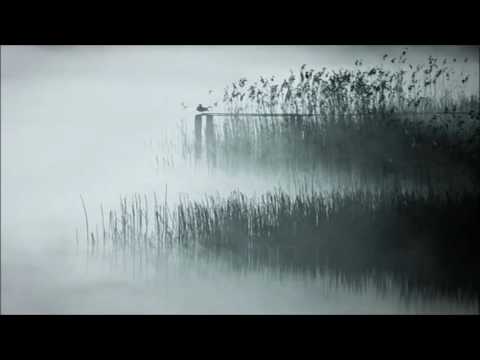 Ryan Davis - Brun (Luca Bacchetti Endless Remix)