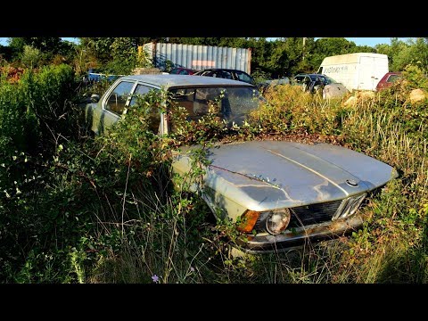 Roncs BMW - Cápa a gazban