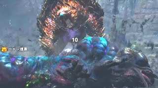 【MHWilds】煌黒共の初見狩猟記【VSププロポル】
