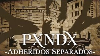 PXNDX - Adheridos Separados