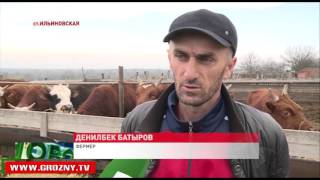 Желающие открыть фермерское хозяйство смогут получить гранты от российского Правительства