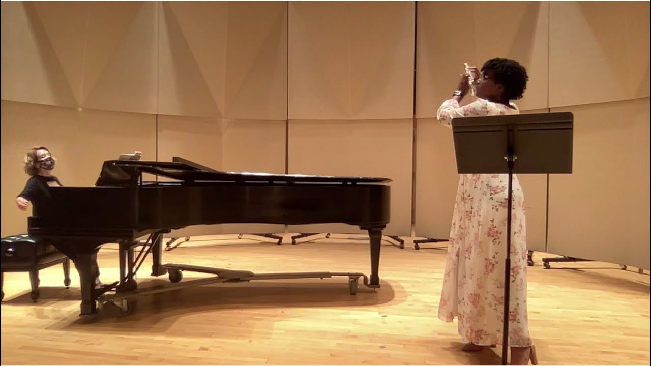 Promotional video thumbnail 2 for Classical Flute/Piccolo Player