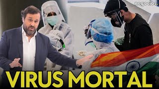 El virus Nipah pone en Alerta a India y Asia: ¿Cómo actúa este virus con una mortalidad del 75%?