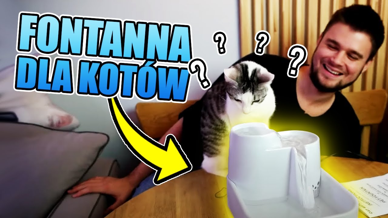 FONTANNA DLA KOTÓW - RECENZJA
