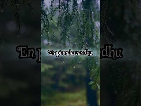 Um Tholgal song WhatsApp status/ Harmony of Heaven