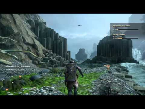 Dragon Age Inquisition Walkthrough Part 58 - A Nice Walk Along The Coast PS4 HD
