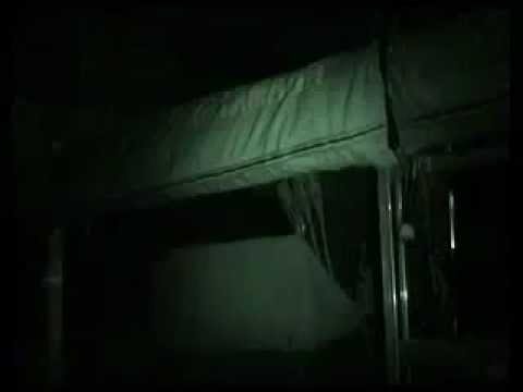 Bigfoot Screams(longest audio in the world)