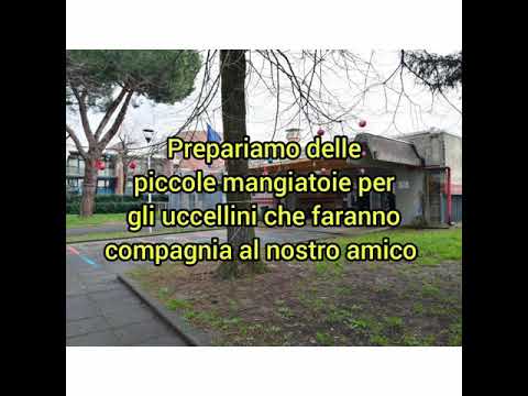 Gli amici dell'albero Giovanni Scuola dell'infanzia il Pino Mascagni Prato