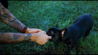 Creating a More Sustainable World Together | Petco
