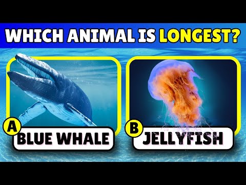 Only 1% Can Score 50/50! 🦁 Ultimate Animal Trivia Quiz ✅