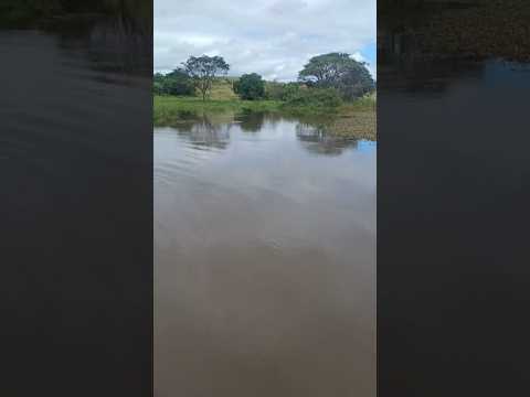 Barragem no Rio trussu,  são Paulinho ACOPIARA CE