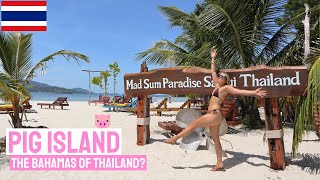 FEEDING PIGS ON A TINY ISLAND | KOH MADSUM THAILAND 2022