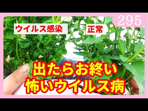 園芸 侵入菌類、危険にさらされている植物